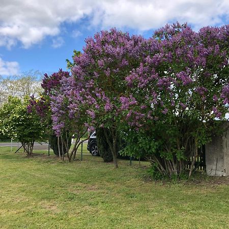Ferienhaus Biene Wartin Dış mekan fotoğraf