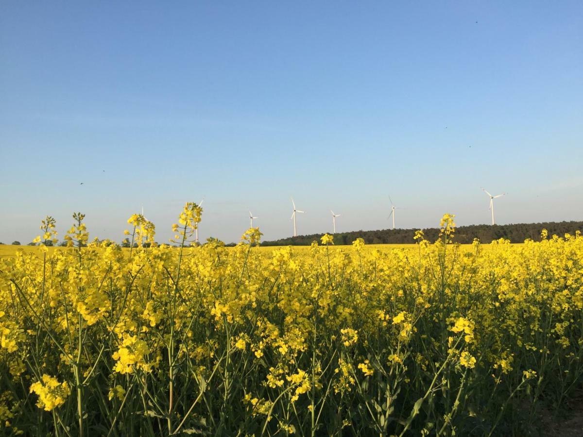 Ferienhaus Biene Wartin Dış mekan fotoğraf
