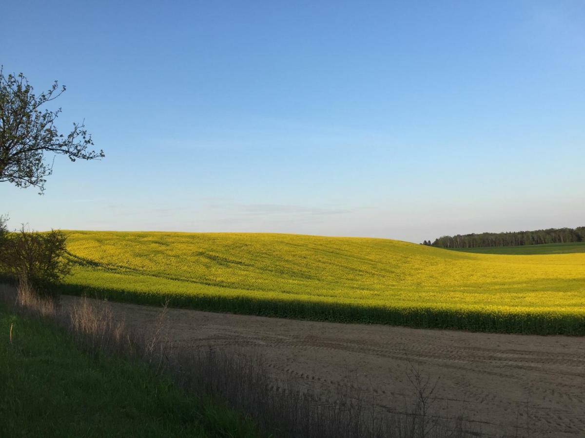 Ferienhaus Biene Wartin Dış mekan fotoğraf