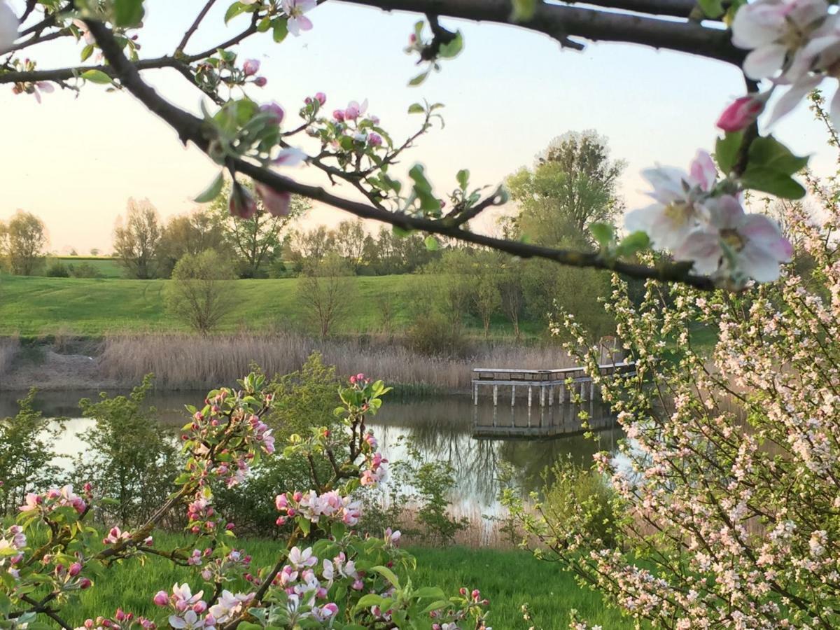 Ferienhaus Biene Wartin Dış mekan fotoğraf